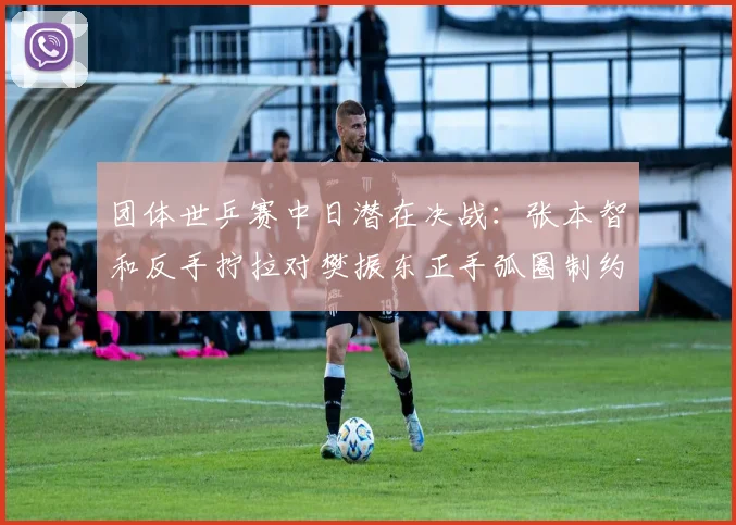 团体世乒赛中日潜在决战：张本智和反手拧拉对樊振东正手弧圈制约效果与战术推演