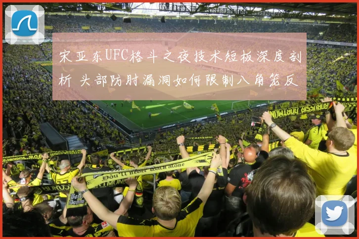 宋亚东UFC格斗之夜技术短板深度剖析 头部防肘漏洞如何限制八角笼反击上限